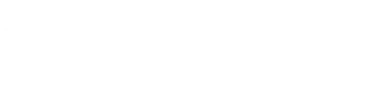 Logo Intimus